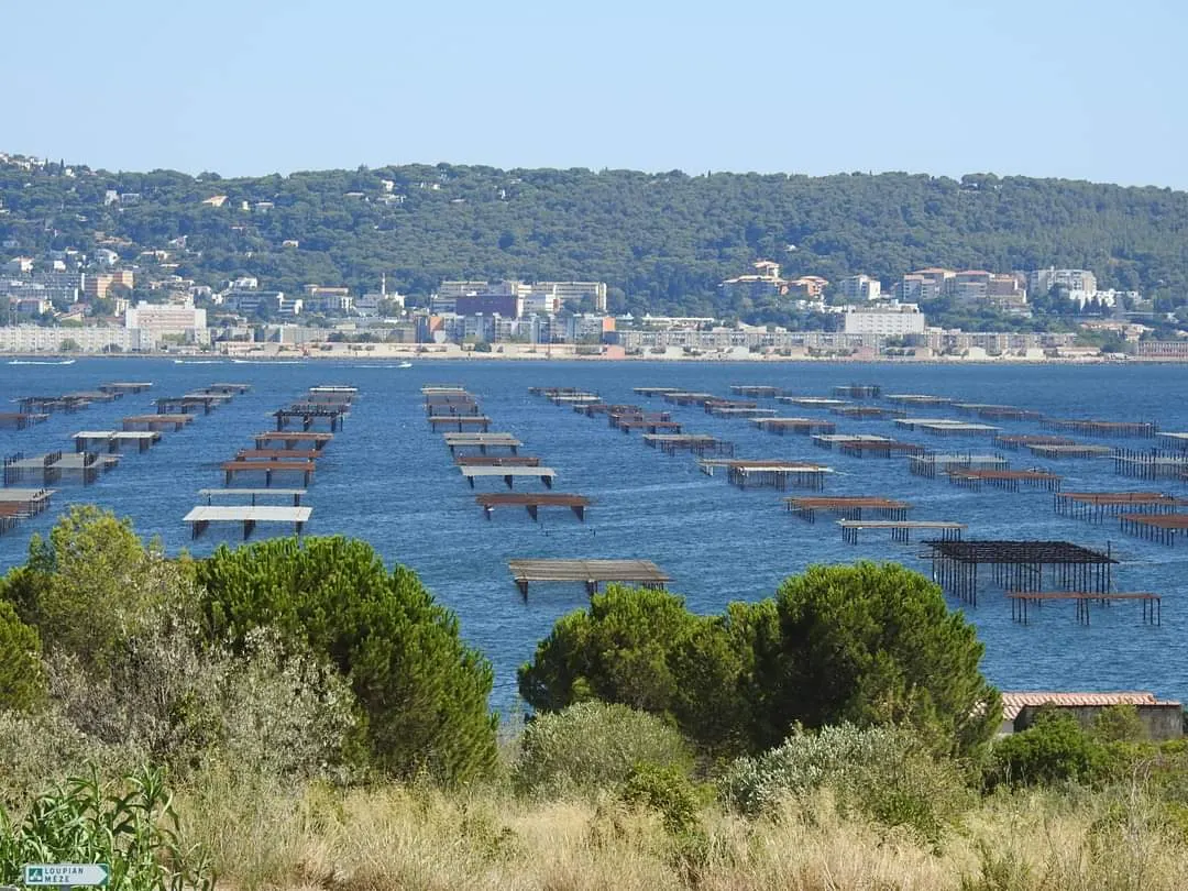 Chambres d'hôtes Le Moulin d'Issanka, atypique dans l'Hérault sur le bassin de thau