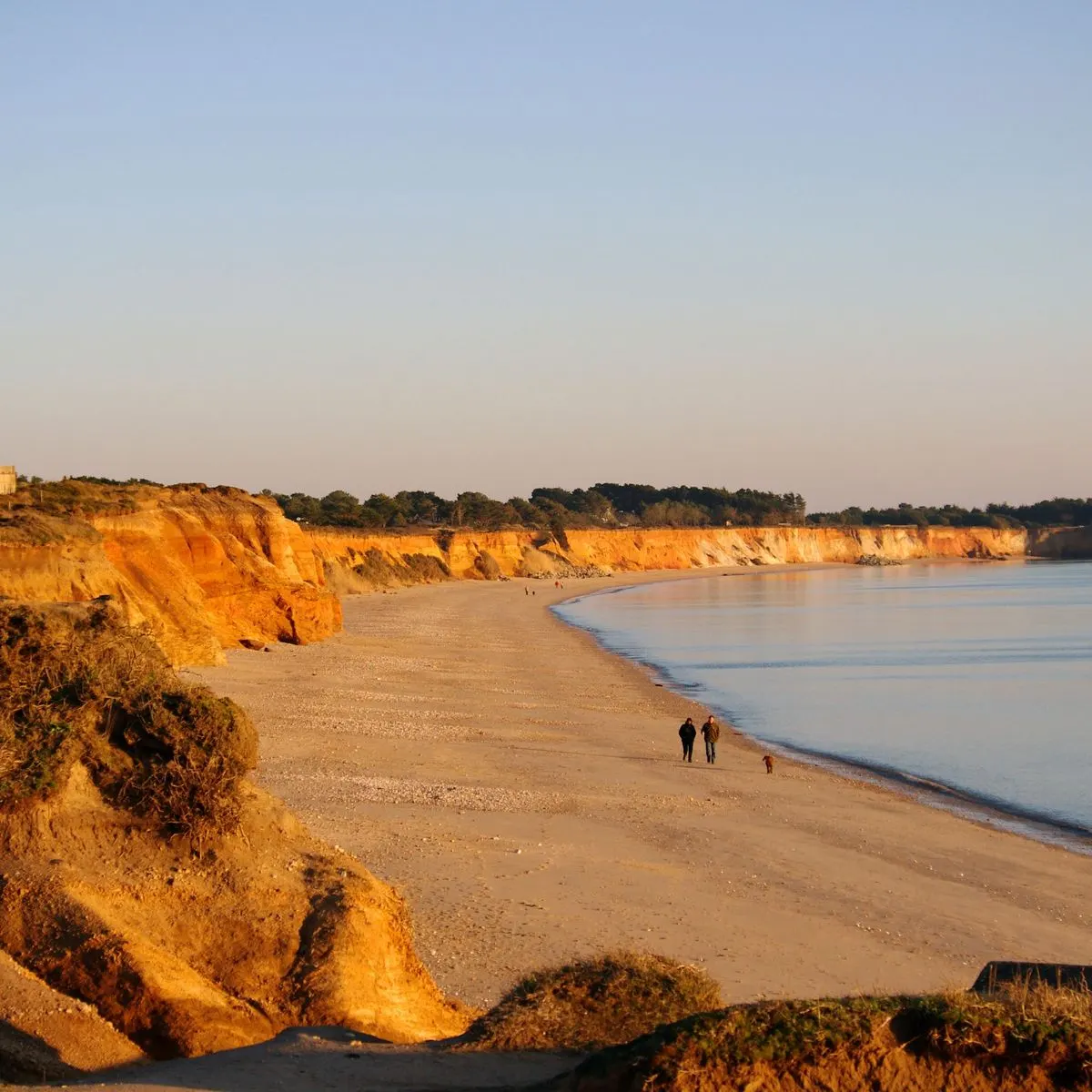 Gîte "Le Champ du Bois"