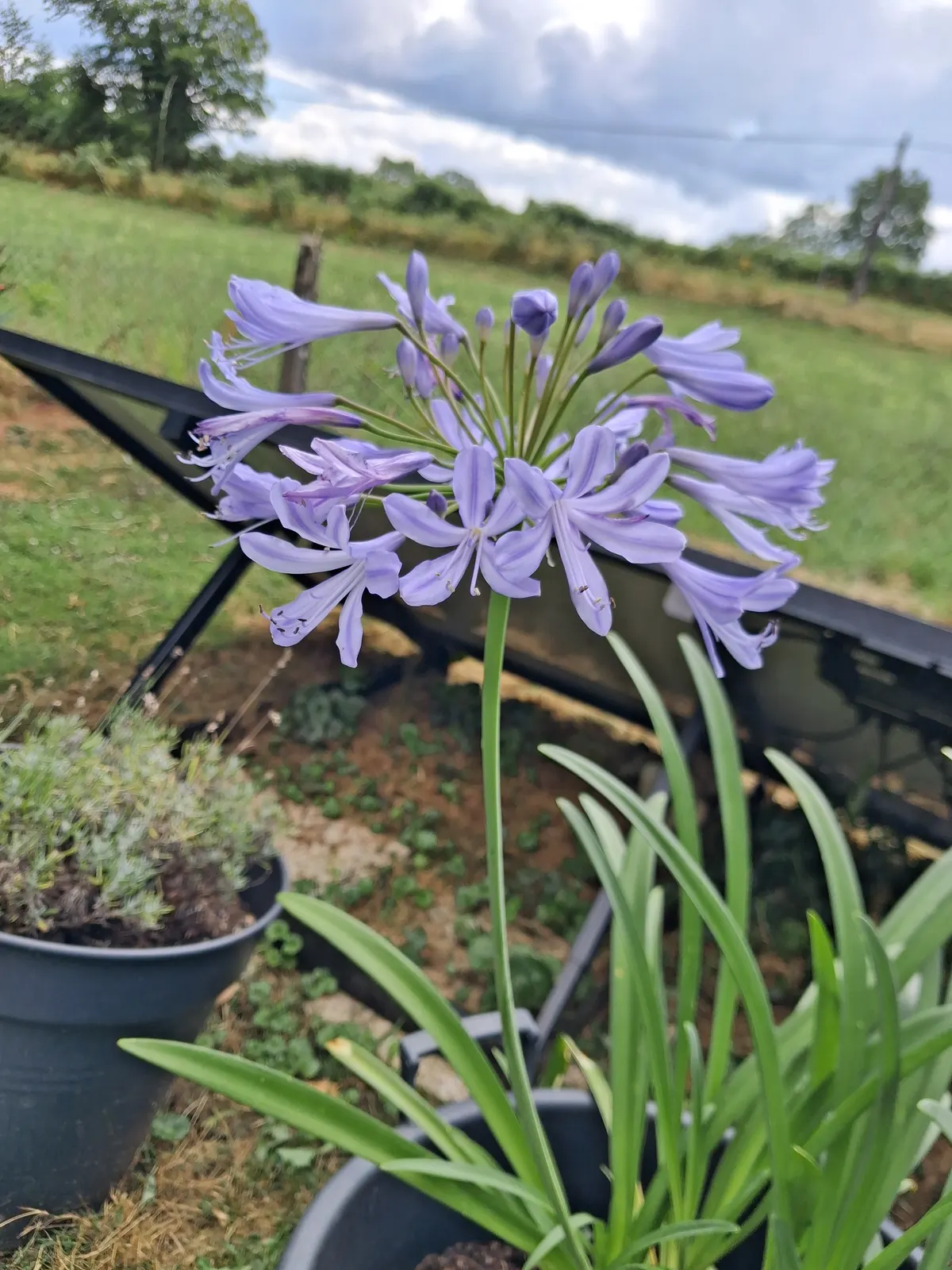 Gîte Le Gauliat Dumas