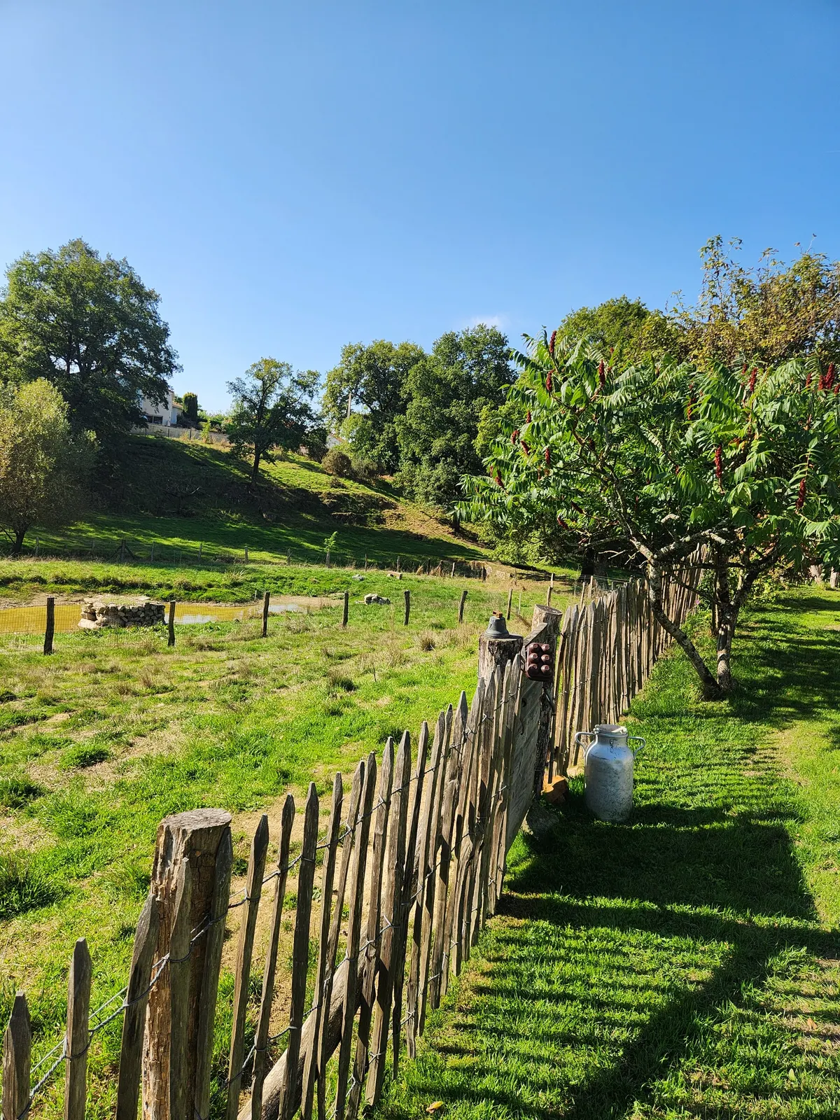 Gîte La Loge Ligeron, Proche Puy du Fou