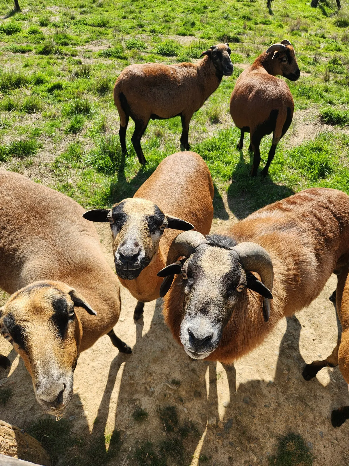 Gîte La Loge Ligeron, Proche Puy du Fou