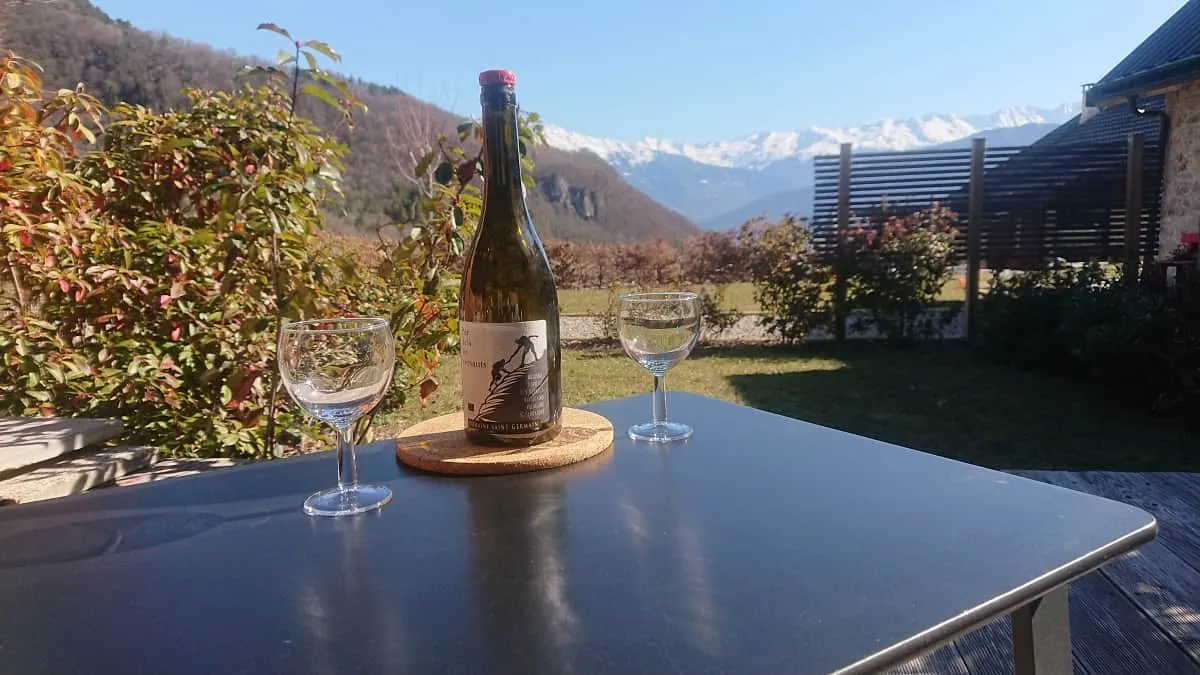 Gîte le Guesthouse - spacieux, piscine et vue montagnes 3pers