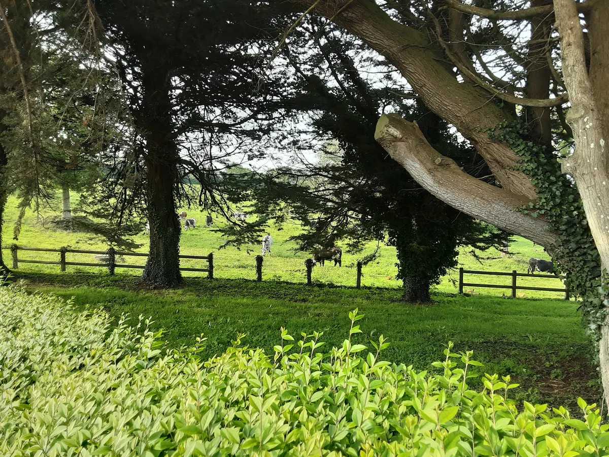 Cotentin Manche Normandie
