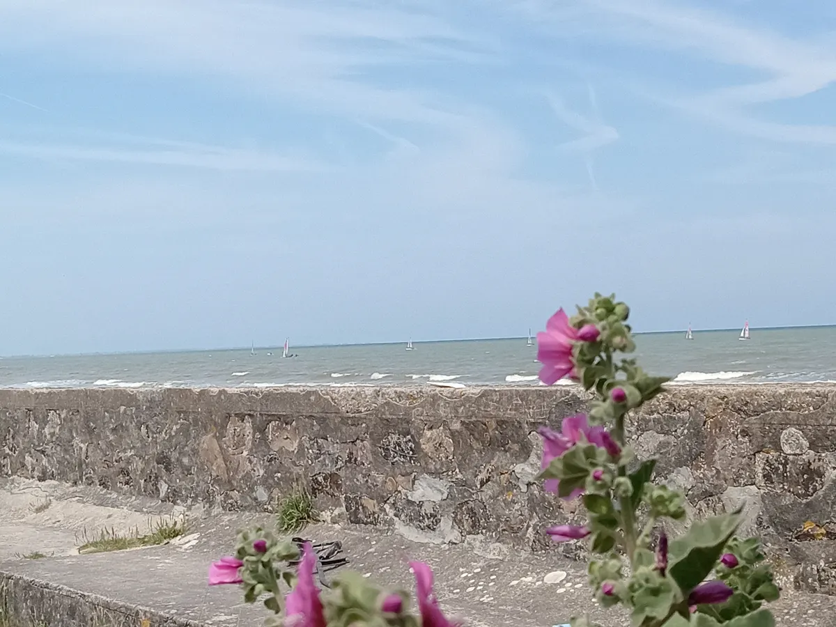 Montagne gite 50m de la plage · Sainte-Mère-Église