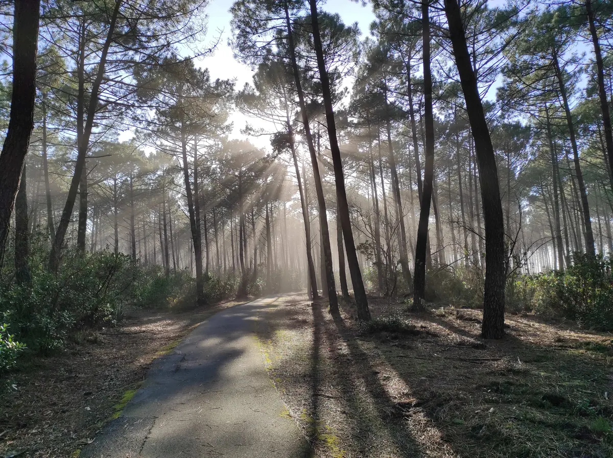 Antre Bassin & Dune - Gite & SPA