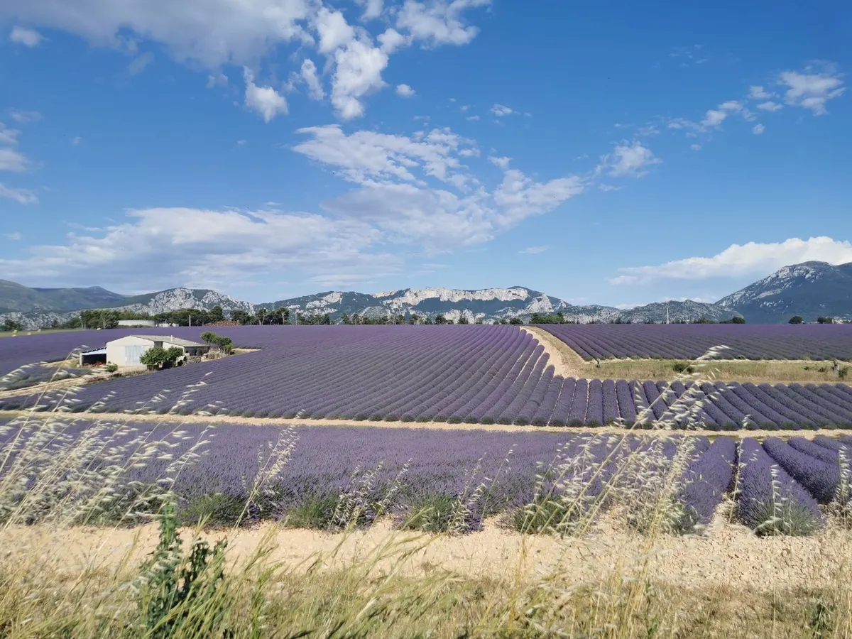 VAR NANS LES PINS Très Beau Studio climatisé avec jardin parking et accès piscine