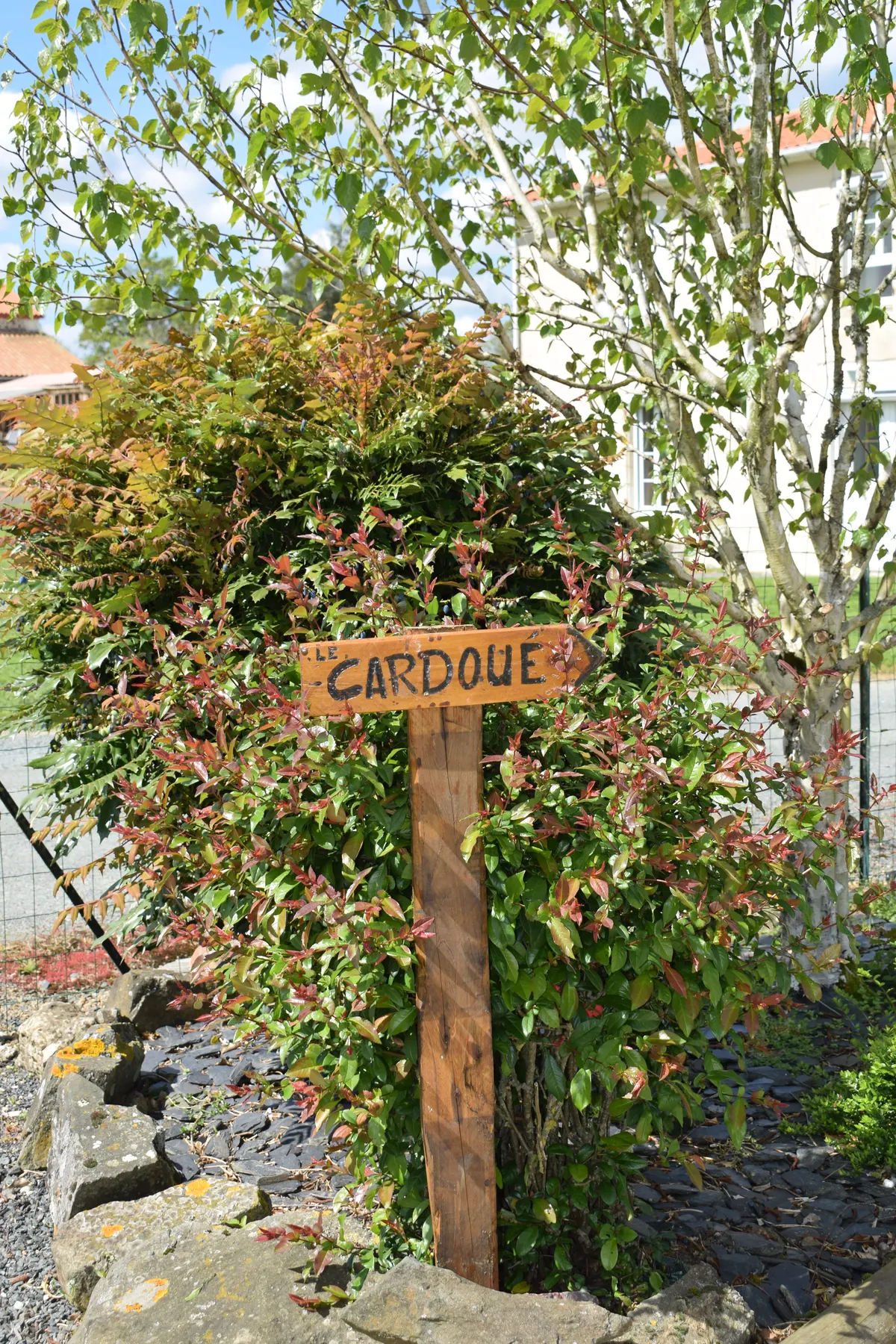 Le Cardoué gîte en campagne dans le bocage vendéen proche du Puy du Fou