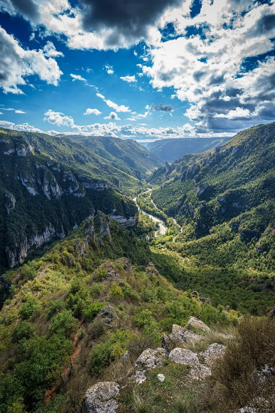 La cabane au fond du jardin