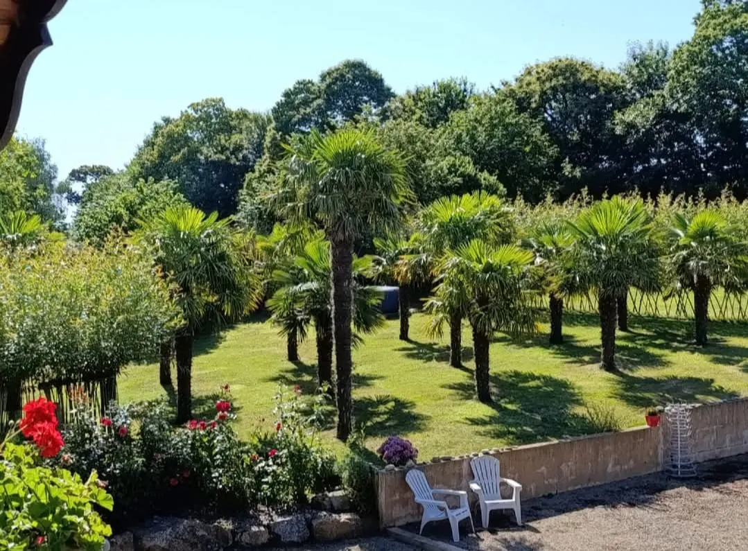 Chambre d'hôte La Palmeraie