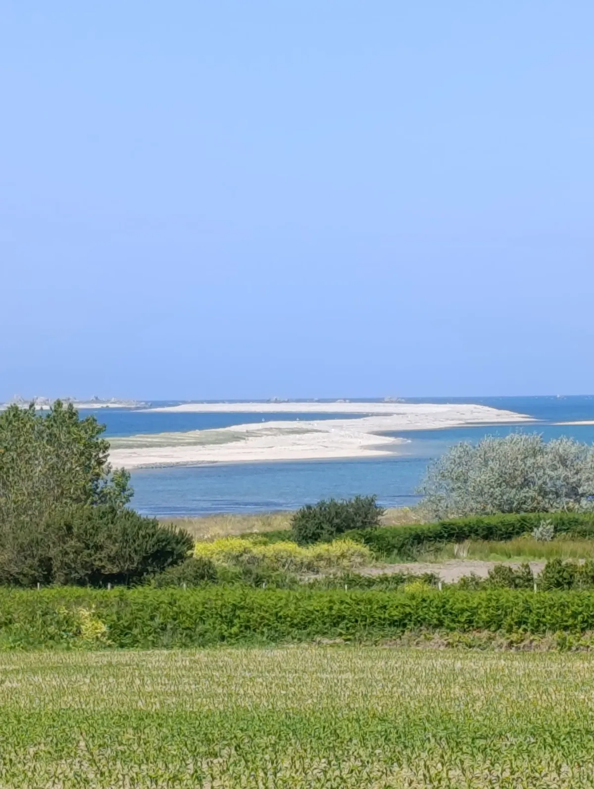 Chambre d'hôte La Palmeraie