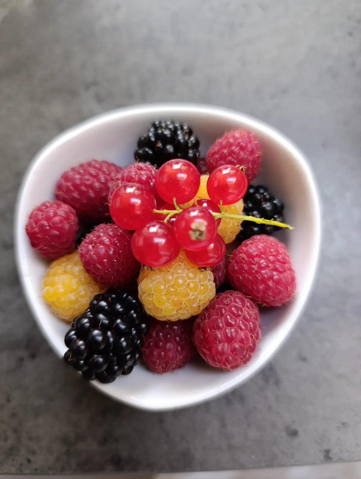 Chambre d'hôte La Palmeraie