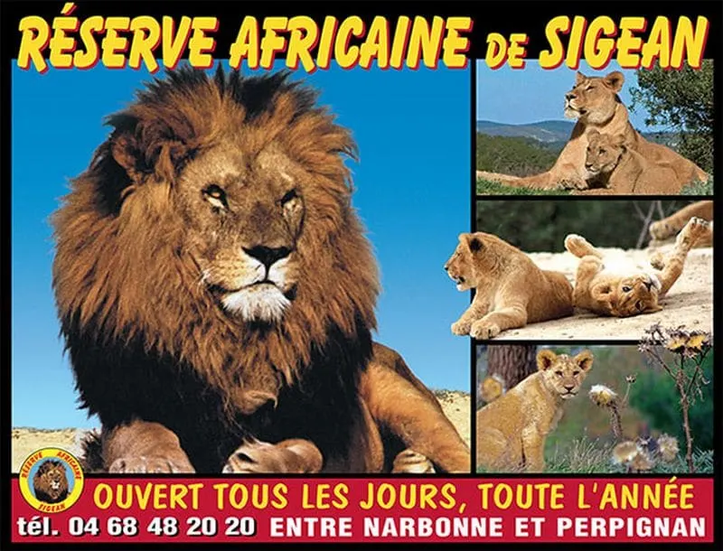 Le Mieukerien® : Réserve africaine 15 mn/plage 200 m