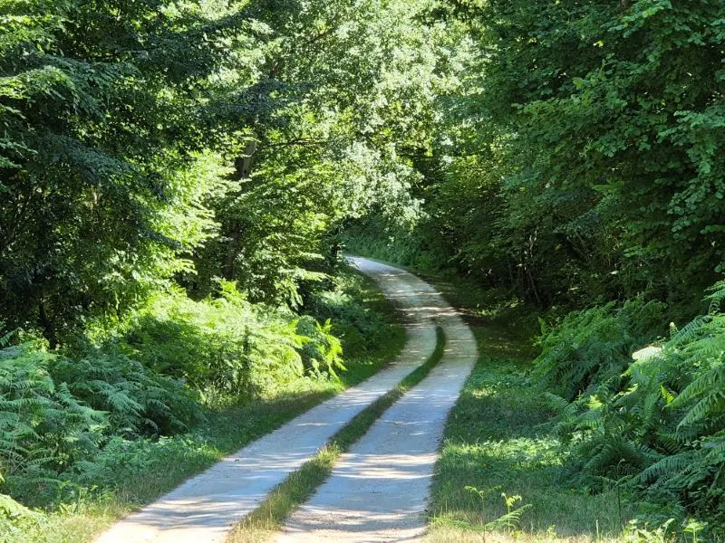 LE LOGIS DU PAVILLON à  Baugeois- vallée en Anjou VERT