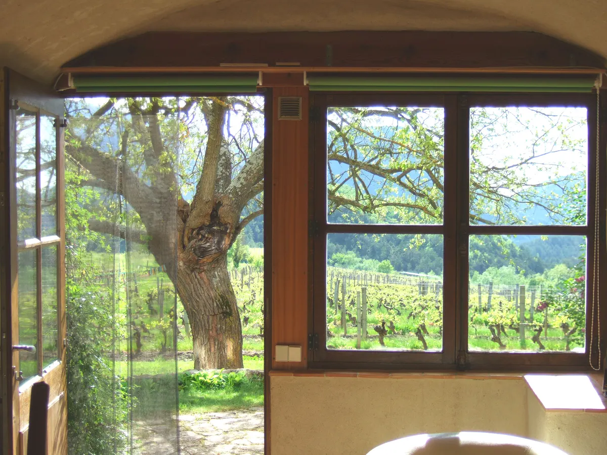 Mas Belle Cour - gîte Vignoble
