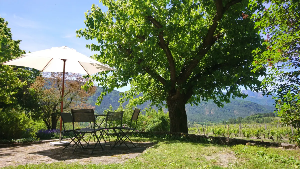 Mas Belle Cour - gîte Vignoble