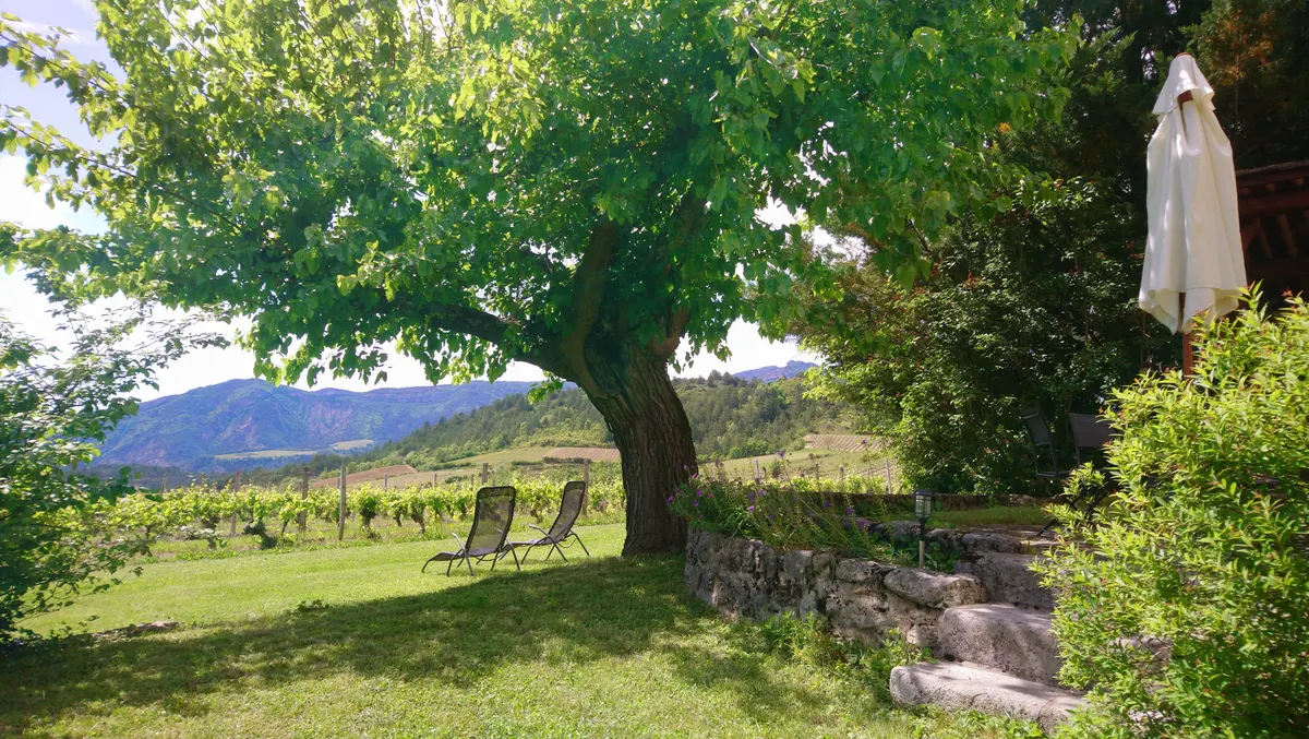 Mas Belle Cour - gîte Vignoble