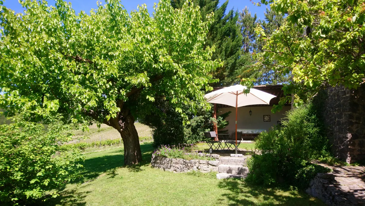 Mas Belle Cour - gîte Vignoble