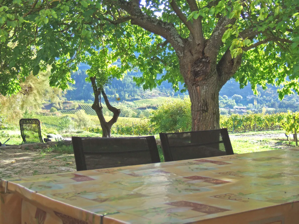 Mas Belle Cour - gîte Vignoble