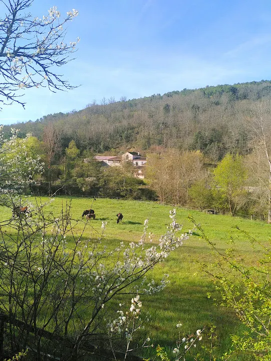Métairie De Lamourade