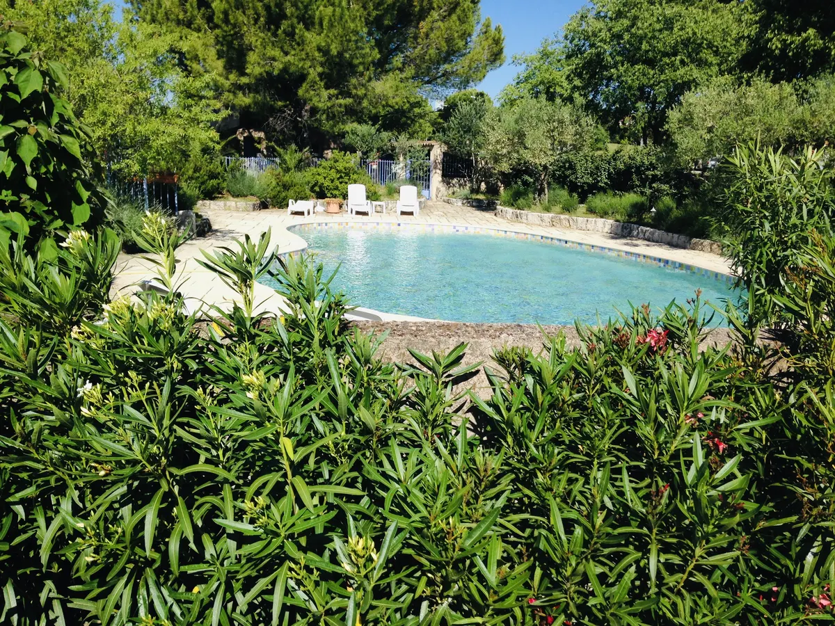 Location climatisée, piscine, jardin clôturé, chiens acceptés, wifi, parking