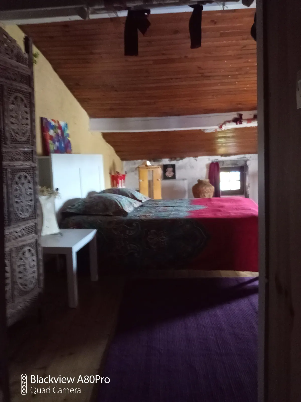 Gite 70 m2 ,jardin ombragé,vulcania