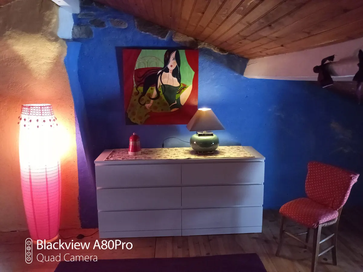 Gite 70 m2 ,jardin ombragé,vulcania