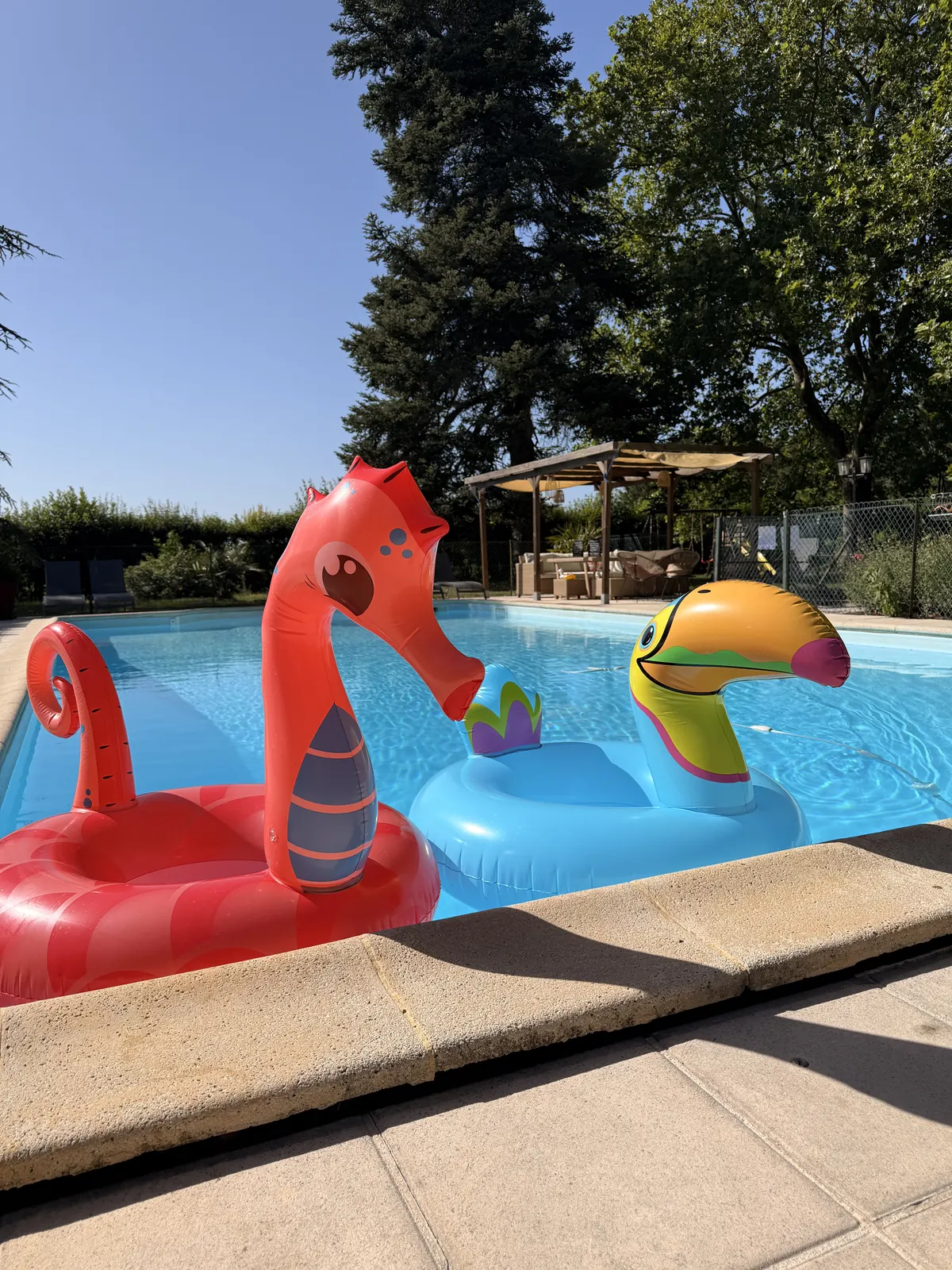 Grande maison avec piscine, parc & boulodrome