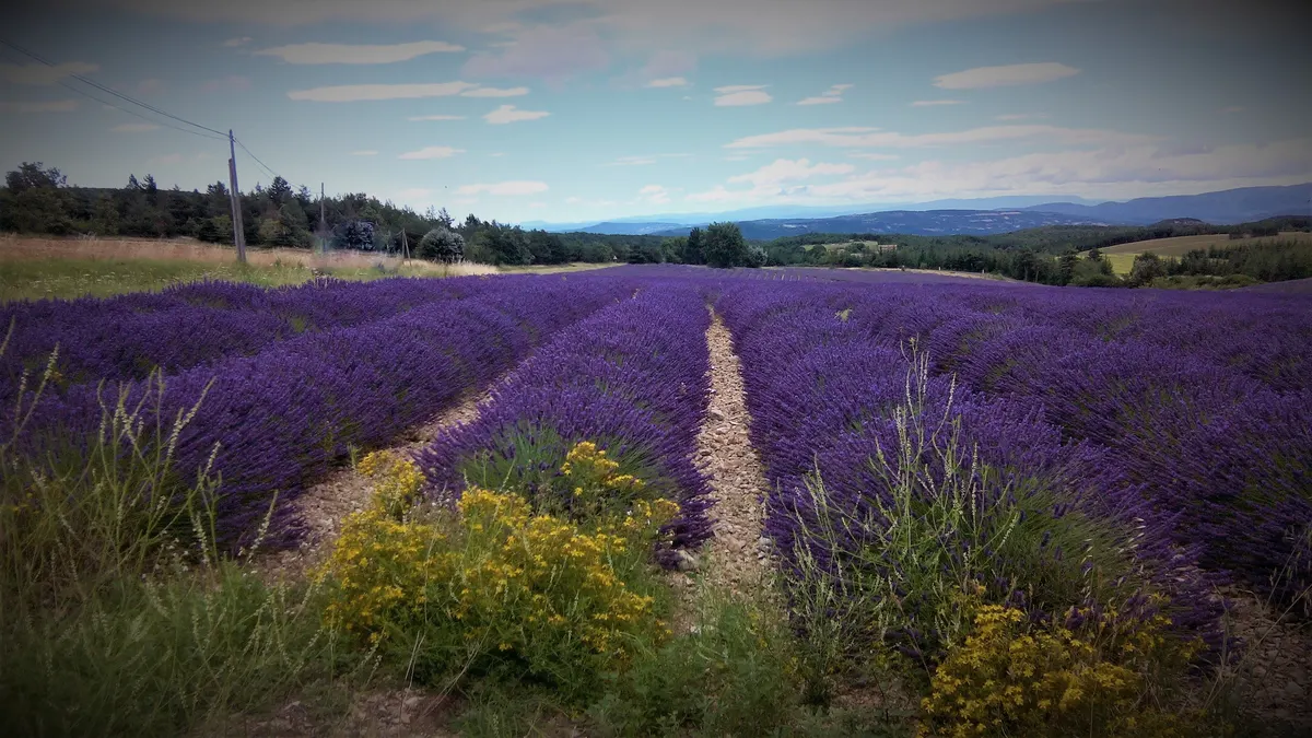 L'Oustau de Famiho votre Gite en Ptrovence