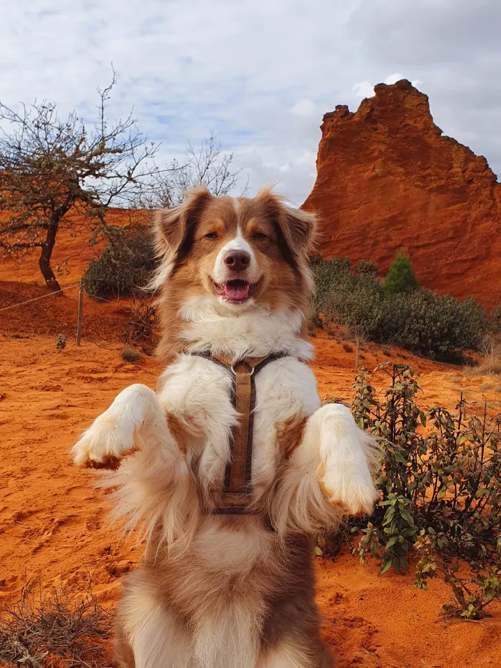 GITE AUX 4 SAISONS - LUBERON - RUSTREL