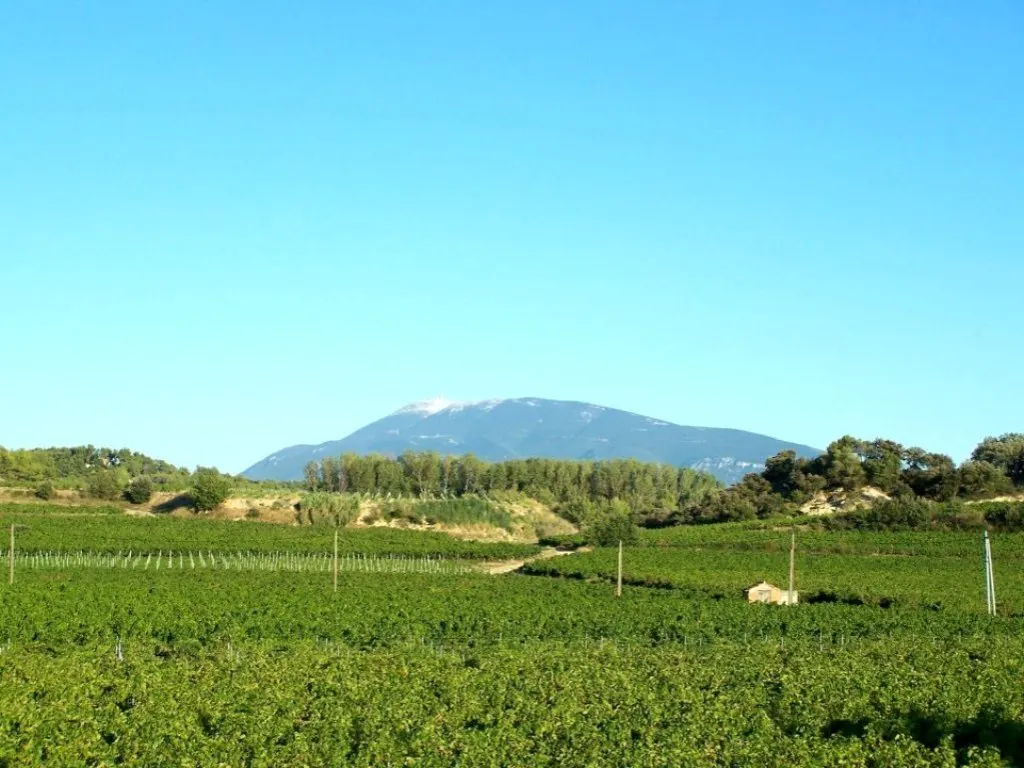 Gite Vaison la Romaine