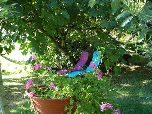 Gite de plain pied Hautes-Pyrénées
