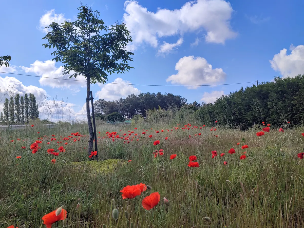 Le Grand Pré du Clos Champêtre