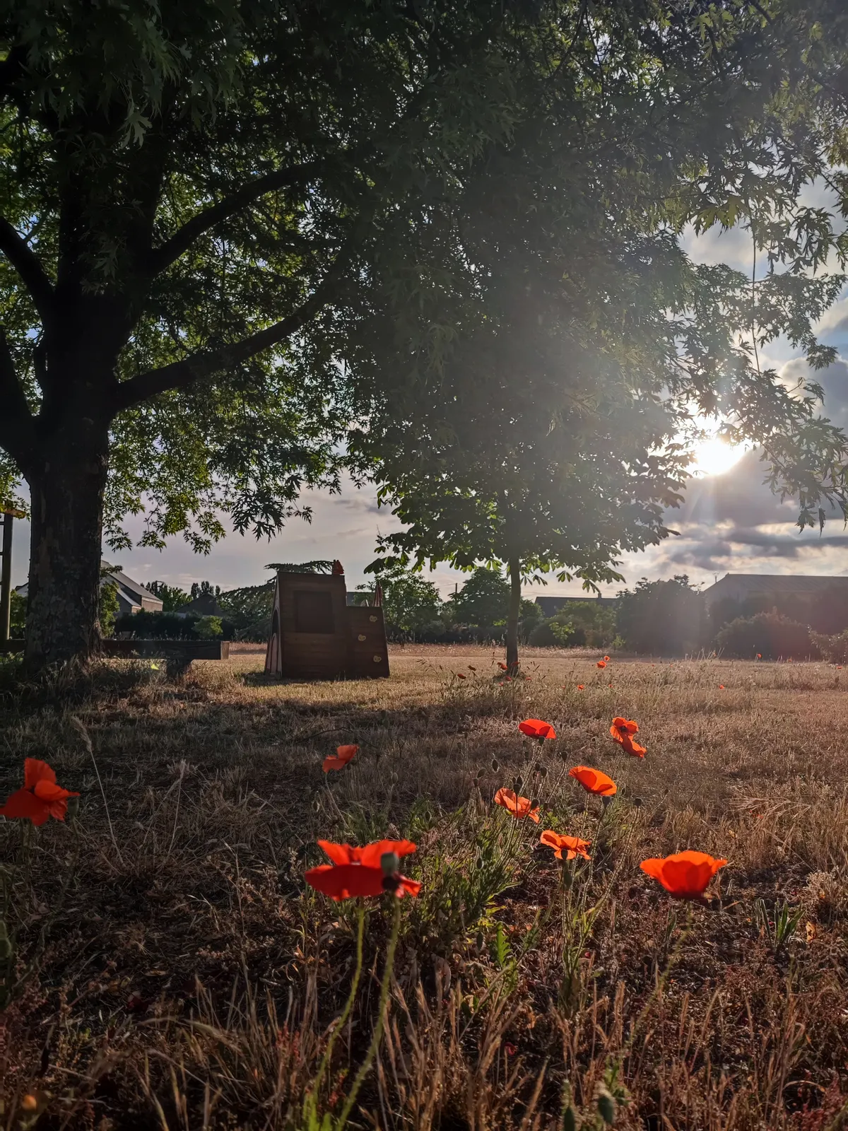 Le Grand Pré du Clos Champêtre