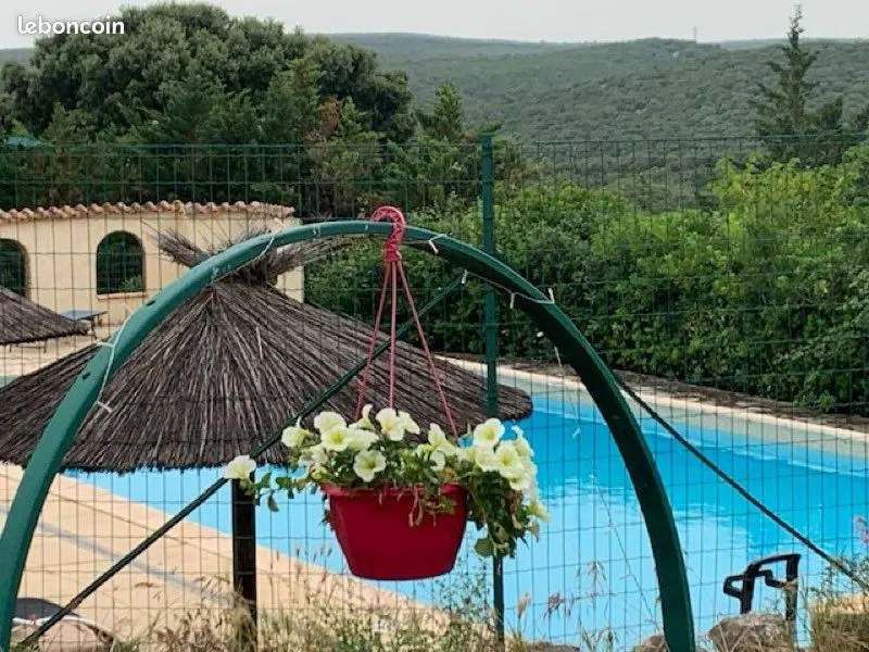 Le Chant des Grillons