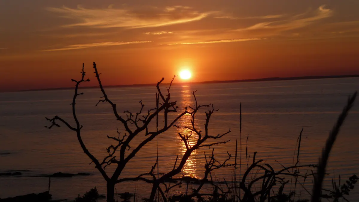 Gite: le jardin aux oiseaux