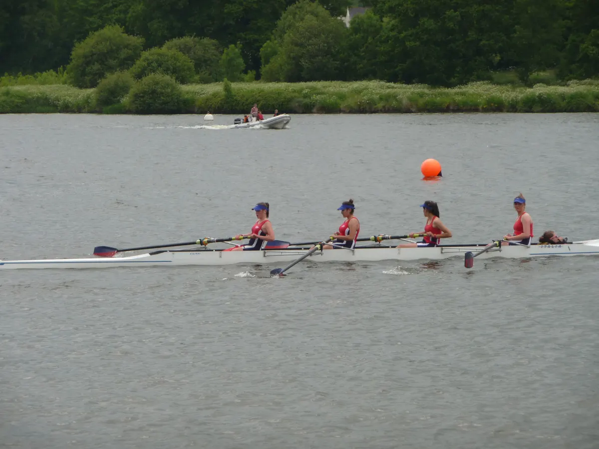 Gite: le jardin aux oiseaux