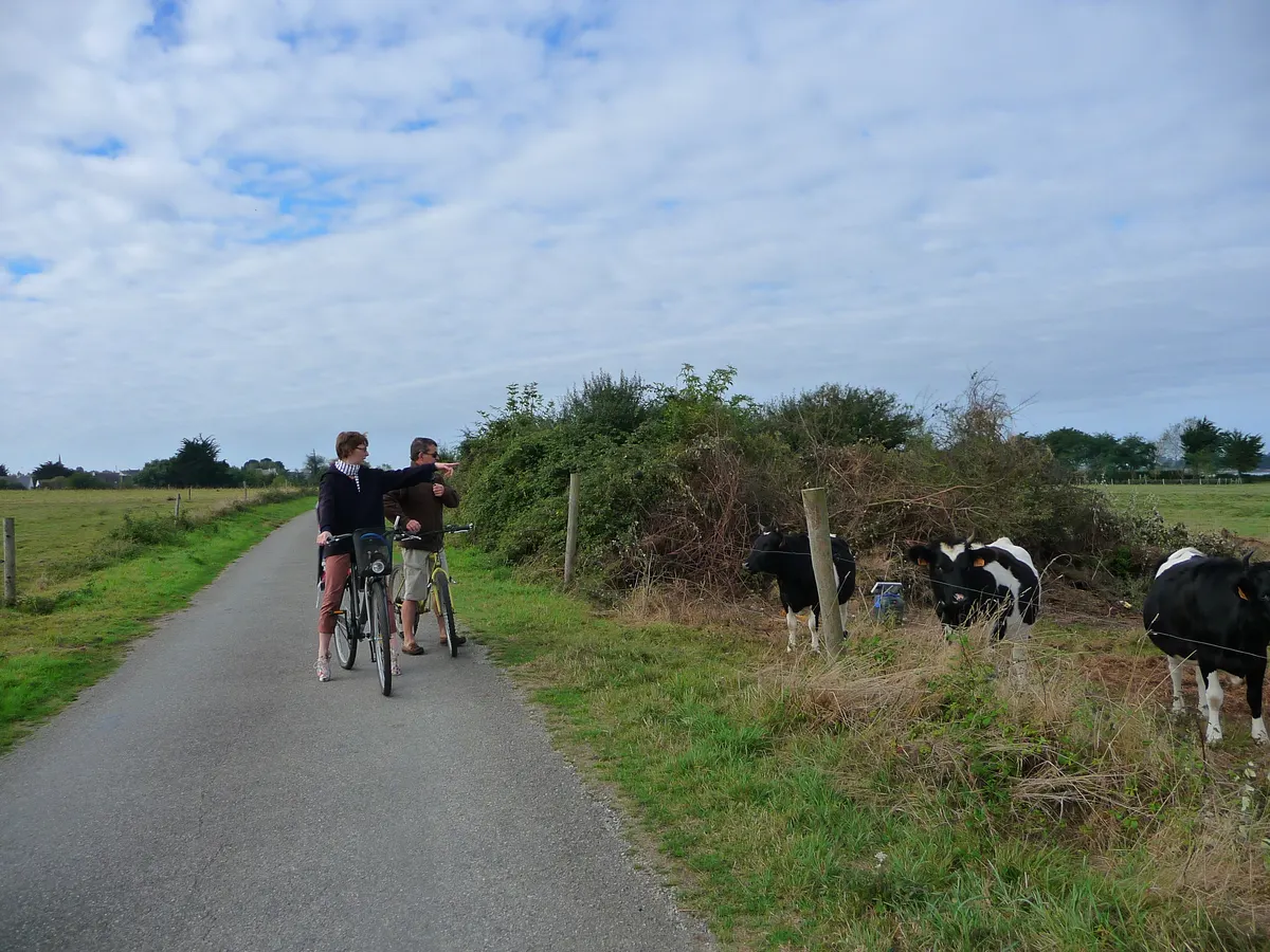 Gite: le jardin aux oiseaux