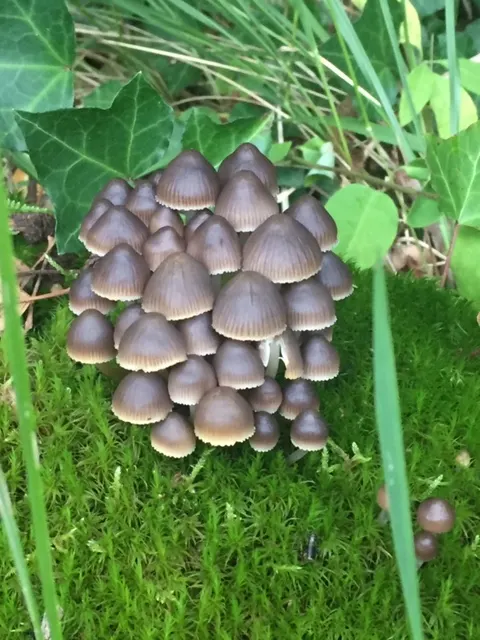 Gite avec pêche étang privé