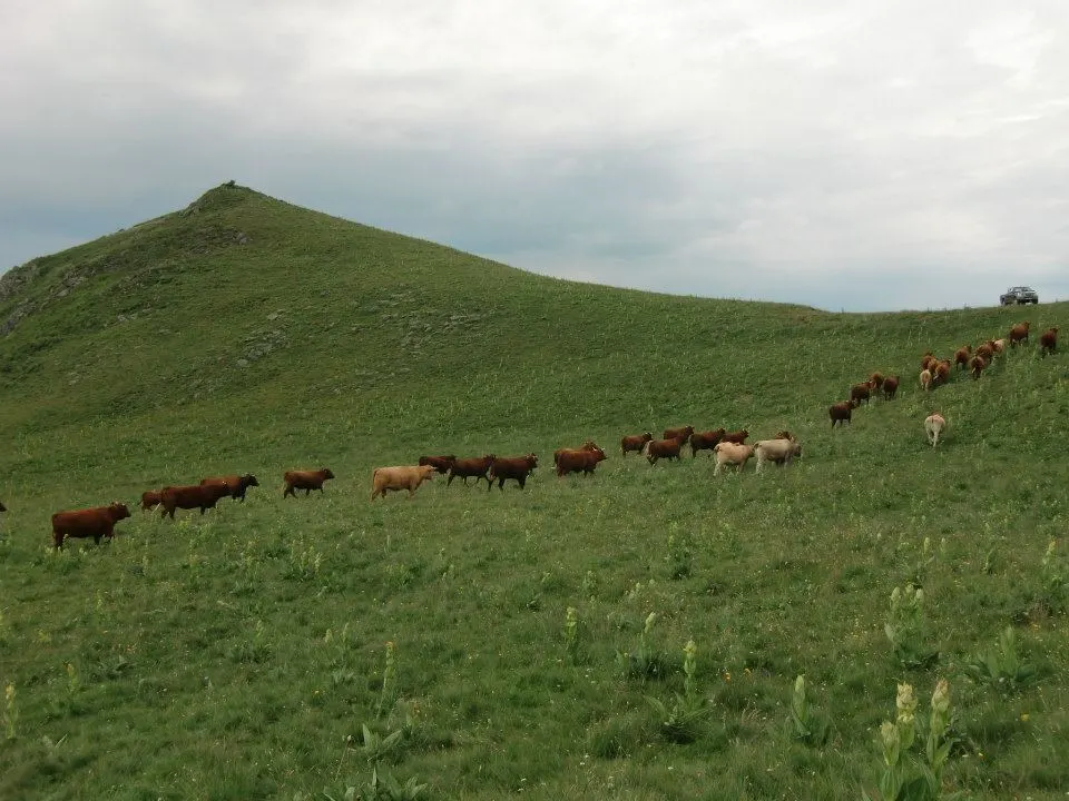 Gite à la ferme avec Jacuzzi extérieur et Pêche