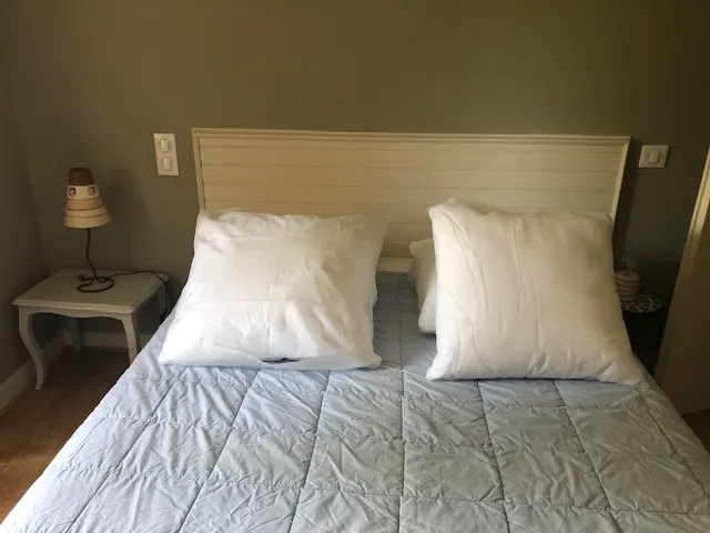 Gite en pierres du pays avec Pêche étang