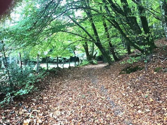 Gite en pierres du pays avec Pêche étang