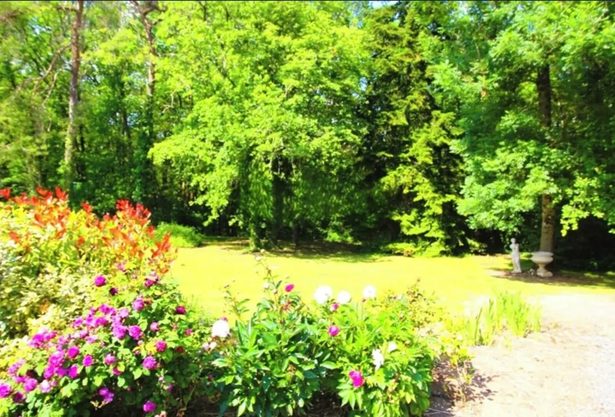 Domaine "La Symphonie de la Forêt"