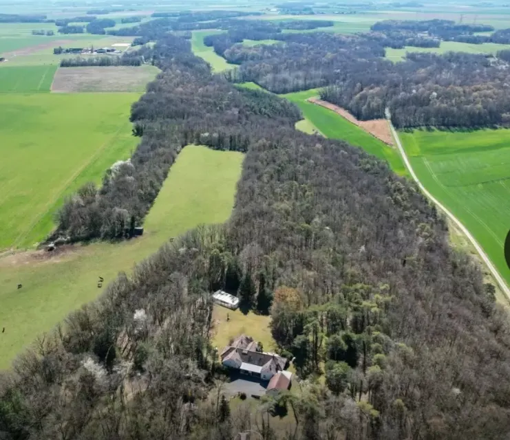 Domaine "La Symphonie de la Forêt"