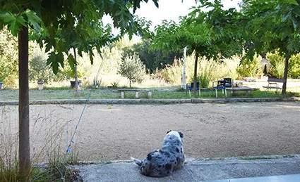Gîte en Provence, jardin privatif clos, piscine à partager